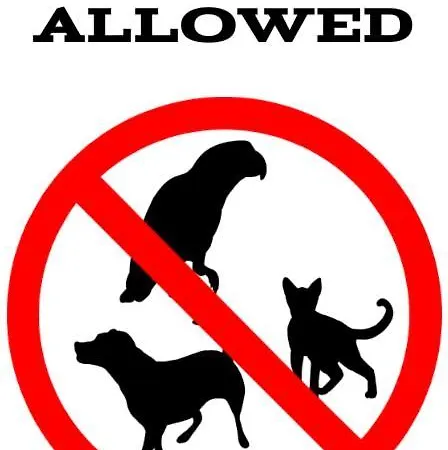 아파트 - Kwartal Rozy Wiatrow Ii *